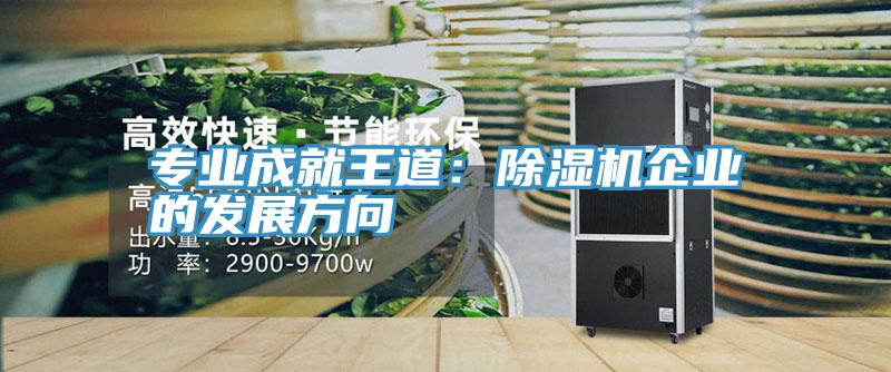 專(zhuān)業(yè)成就王道：除濕機(jī)企業(yè)的發(fā)展方向