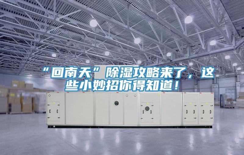 “回南天”除濕攻略來(lái)了，這些小妙招你得知道！