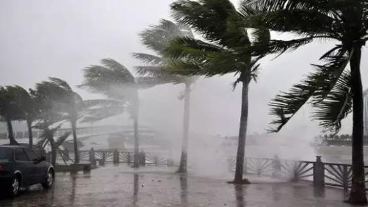 8月臺(tái)風(fēng)雨即將來(lái)，除濕機(jī)還得用起來(lái)