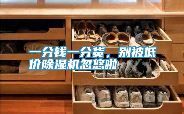一分錢一分貨，別被低價(jià)除濕機(jī)忽悠啦