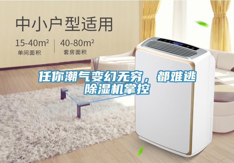 任你潮氣變幻無窮，都難逃除濕機(jī)掌控