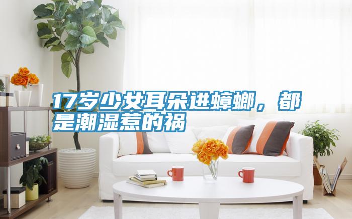 17歲少女耳朵進(jìn)蟑螂，都是潮濕惹的禍