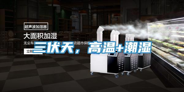三伏天，高溫+潮濕