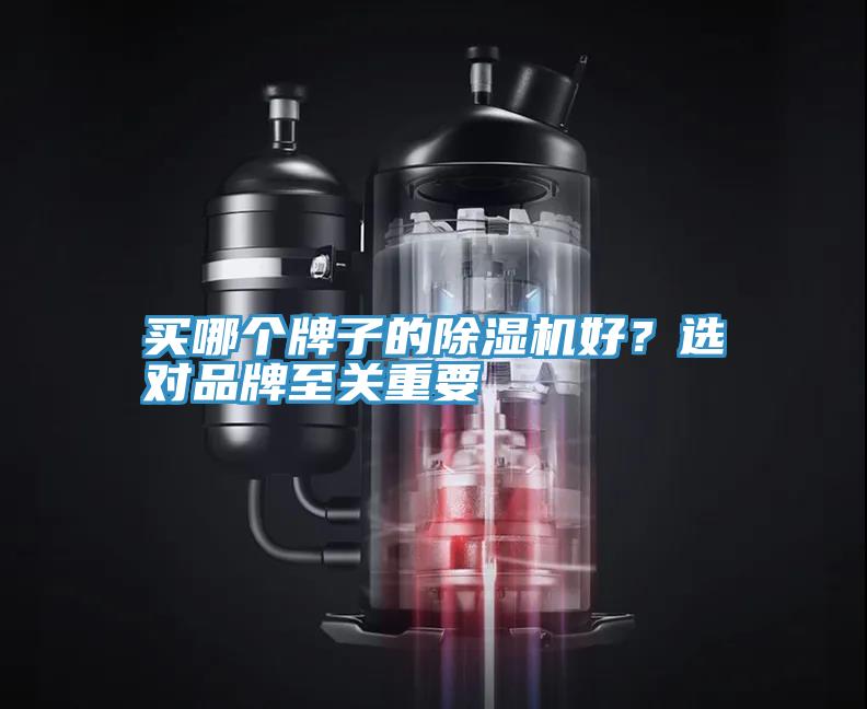 買(mǎi)哪個(gè)牌子的除濕機(jī)好？選對(duì)品牌至關(guān)重要