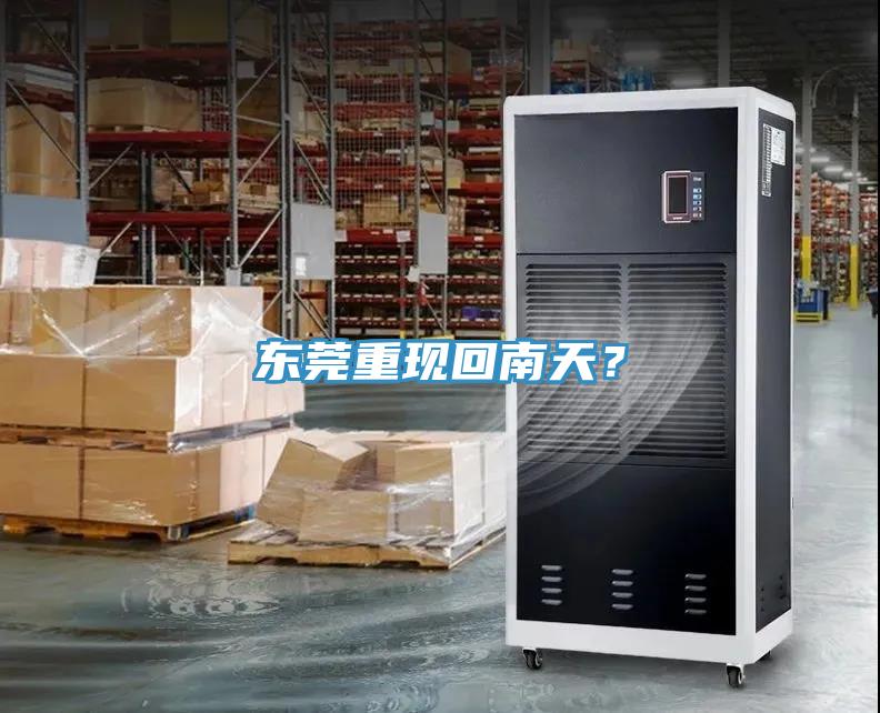 東莞重現回南天？