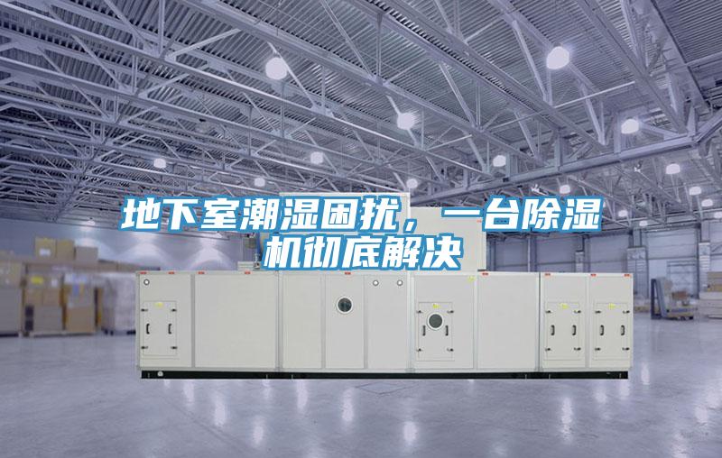 地下室潮濕困擾，一臺除濕機(jī)徹底解決