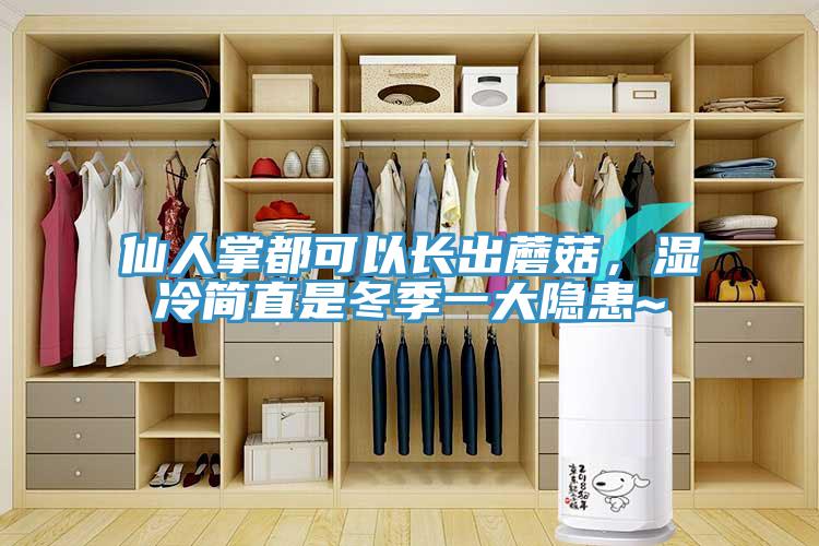 仙人掌都可以長(zhǎng)出蘑菇，濕冷簡(jiǎn)直是冬季一大隱患~