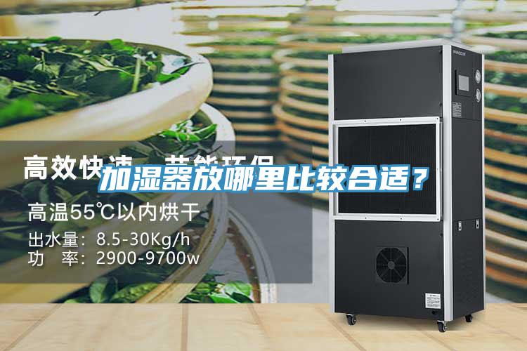 加濕器放哪里比較合適？