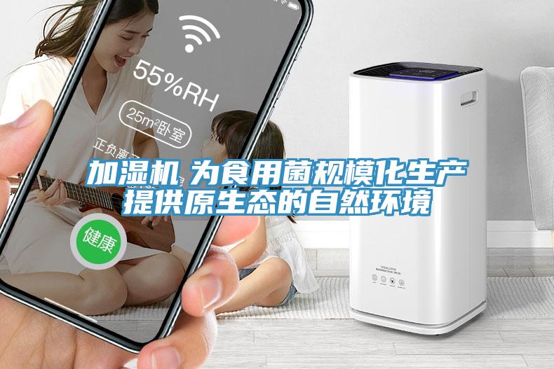 加濕機　為食用菌規(guī)?；a(chǎn)提供原生態(tài)的自然環(huán)境
