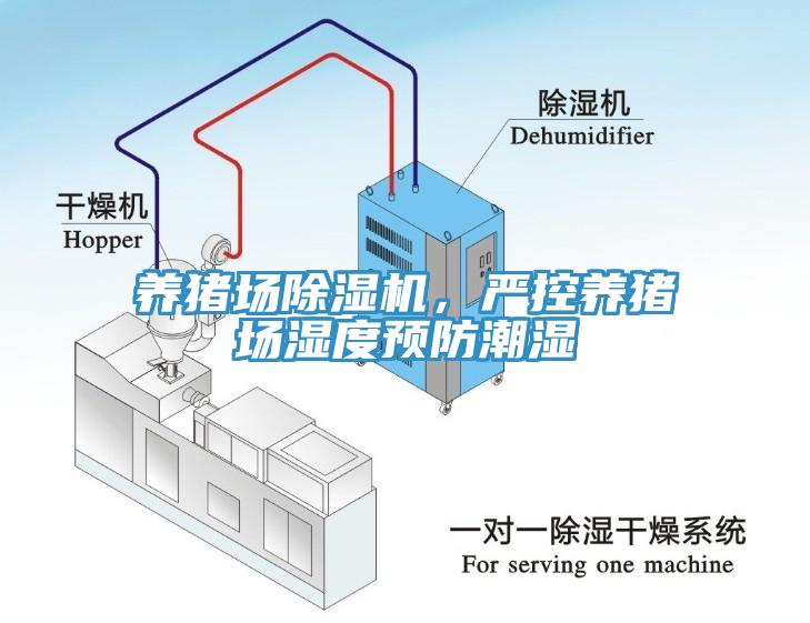 養(yǎng)豬場除濕機，嚴(yán)控養(yǎng)豬場濕度預(yù)防潮濕