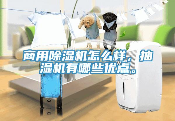 商用除濕機怎么樣，抽濕機有哪些優(yōu)點。