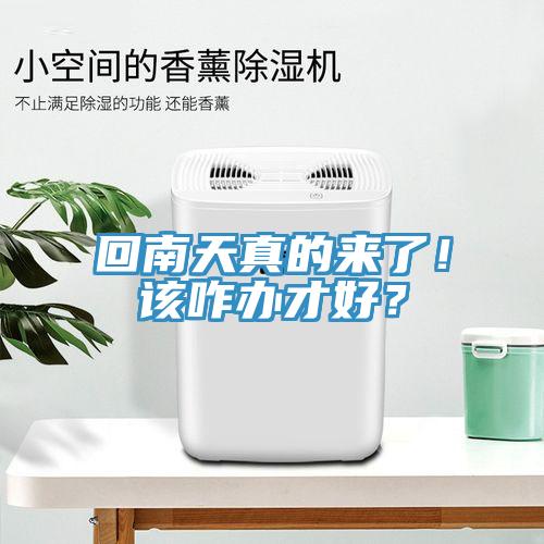 回南天真的來了！該咋辦才好？