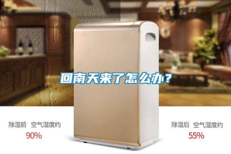 回南天來了怎么辦？