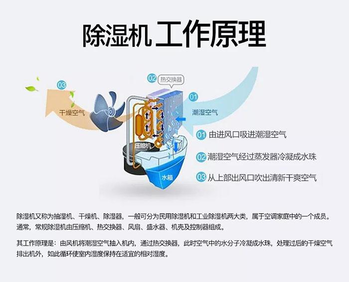 南方濕冷會致病你知道嗎？
