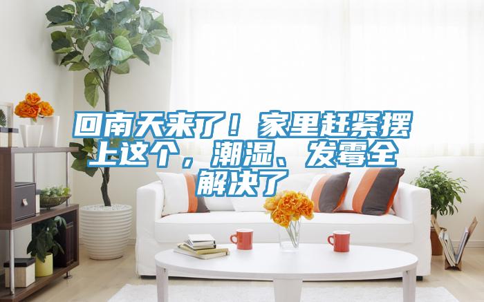 回南天來了！家里趕緊擺上這個(gè)，潮濕、發(fā)霉全解決了