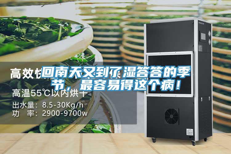 回南天又到了濕答答的季節(jié)，最容易得這個?。?></div>
								<div   id=