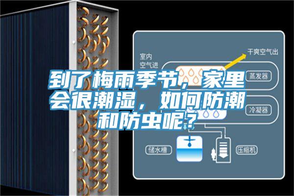 到了梅雨季節(jié)，家里會很潮濕，如何防潮和防蟲呢？