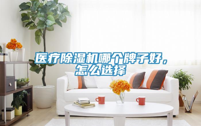 醫(yī)療除濕機哪個牌子好，怎么選擇