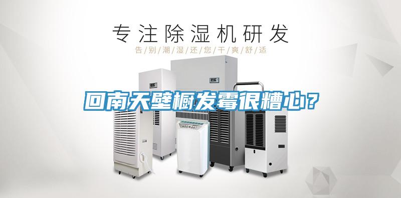 回南天壁櫥發(fā)霉很糟心？