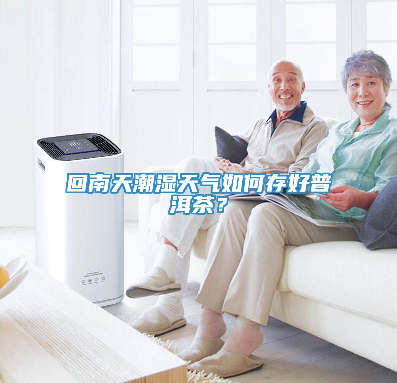 回南天潮濕天氣如何存好普洱茶？