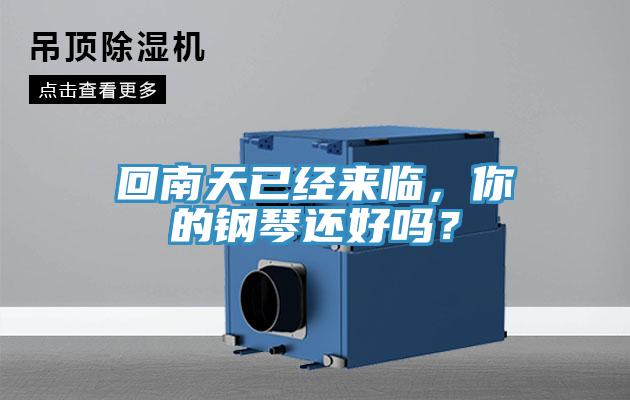 回南天已經(jīng)來臨，你的鋼琴還好嗎？