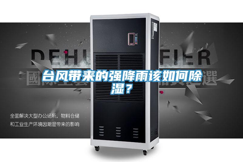 臺(tái)風(fēng)帶來(lái)的強(qiáng)降雨該如何除濕？