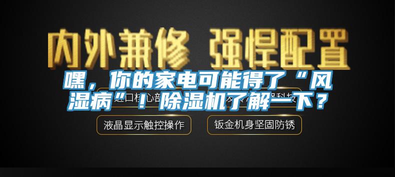 嘿，你的家電可能得了“風濕病”！除濕機了解一下？