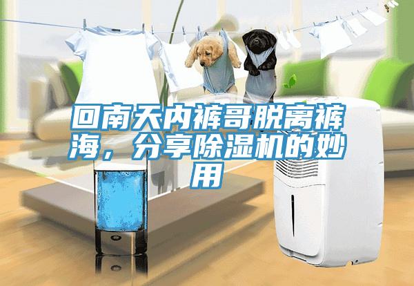 回南天內(nèi)褲哥脫離褲海，分享除濕機(jī)的妙用