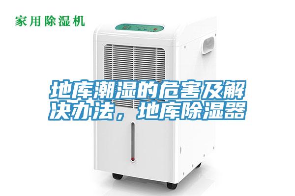 地庫潮濕的危害及解決辦法，地庫除濕器