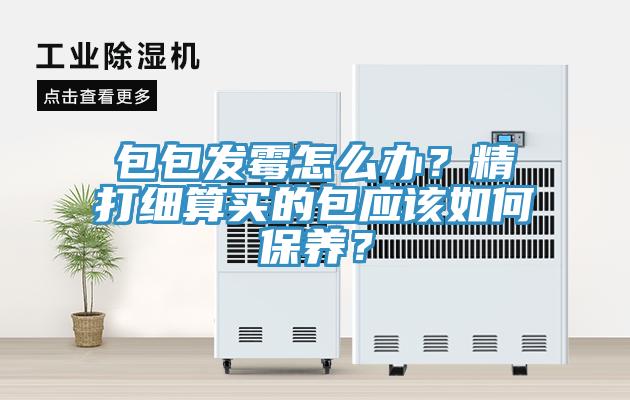 包包發(fā)霉怎么辦？精打細(xì)算買的包應(yīng)該如何保養(yǎng)？