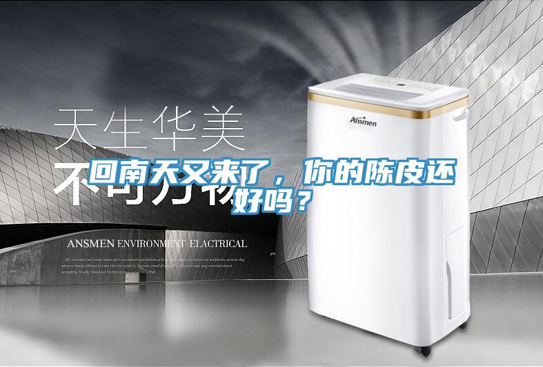 回南天又來了，你的陳皮還好嗎？