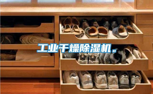 工業(yè)干燥除濕機。