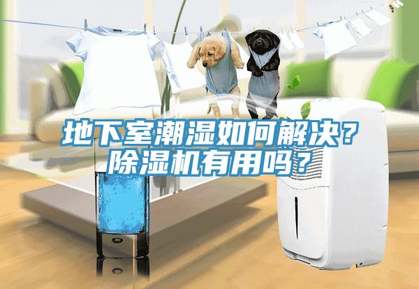 地下室潮濕如何解決？除濕機有用嗎？