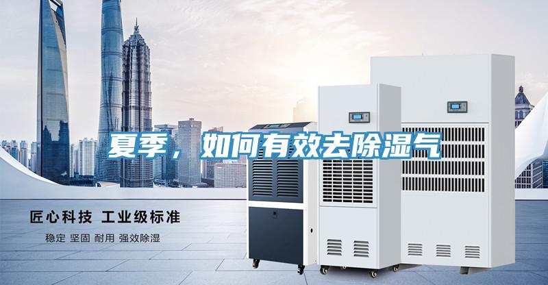 夏季，如何有效去除濕氣