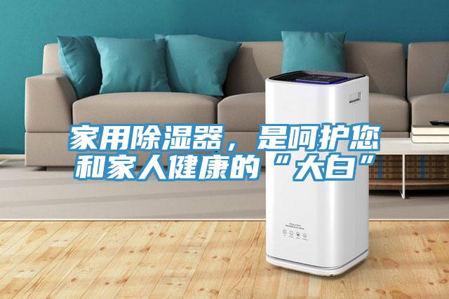 家用除濕器，是呵護您和家人健康的“大白”