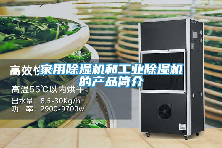 家用除濕機和工業(yè)除濕機的產品簡介