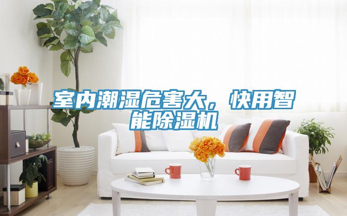 室內(nèi)潮濕危害大，快用智能除濕機