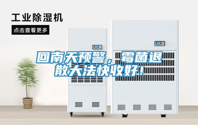 回南天預(yù)警，霉菌退散大法快收好！