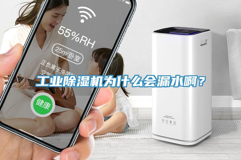工業(yè)除濕機(jī)為什么會(huì)漏水??？