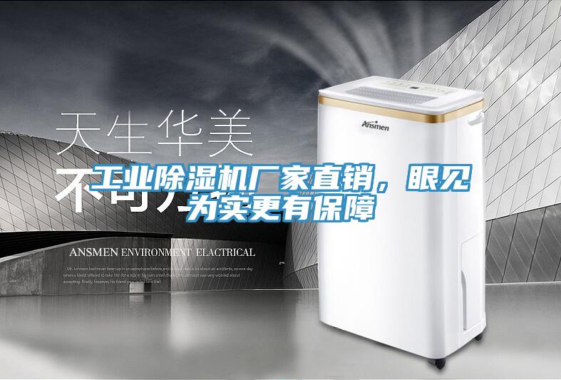 工業(yè)除濕機廠家直銷，眼見為實更有保障