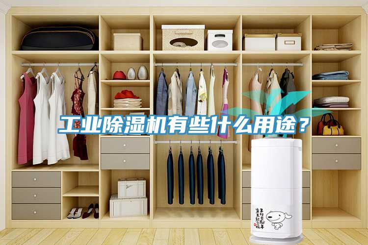 工業(yè)除濕機(jī)有些什么用途？