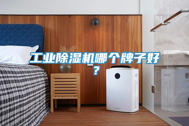 工業(yè)除濕機哪個牌子好？