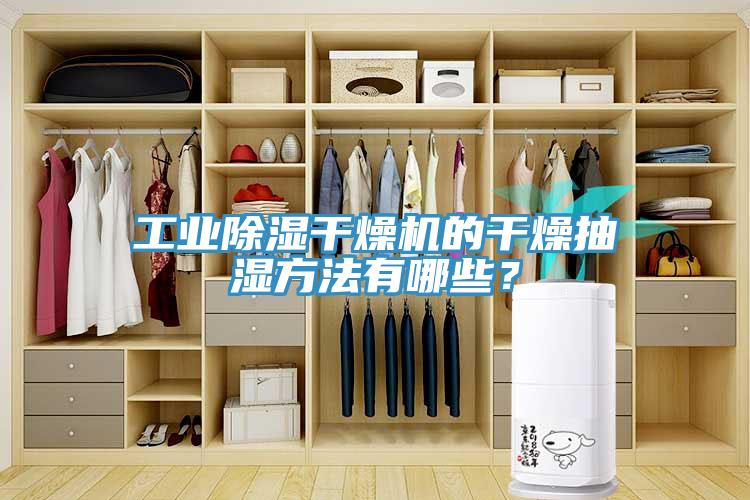 工業(yè)除濕干燥機(jī)的干燥抽濕方法有哪些？