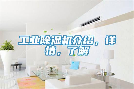 工業(yè)除濕機(jī)介紹，詳情，了解