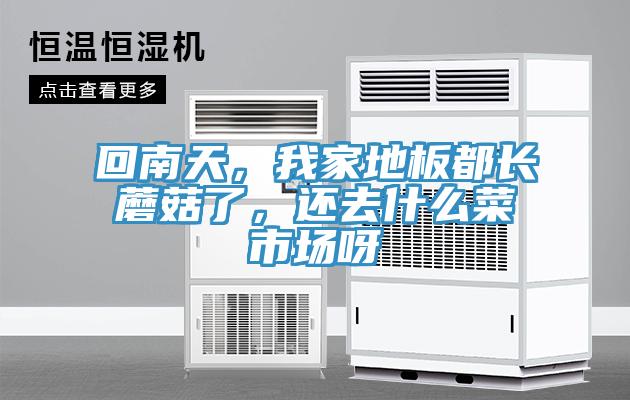 回南天，我家地板都長蘑菇了，還去什么菜市場呀