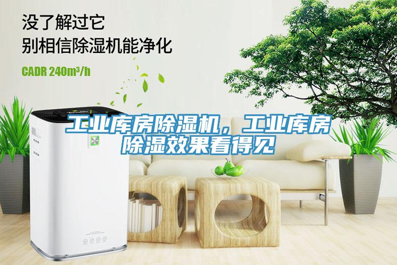工業(yè)庫房除濕機，工業(yè)庫房除濕效果看得見