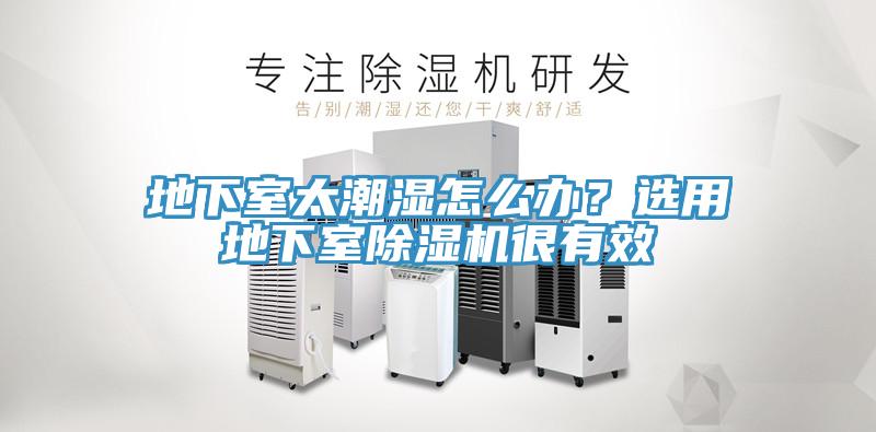 地下室太潮濕怎么辦？選用地下室除濕機很有效