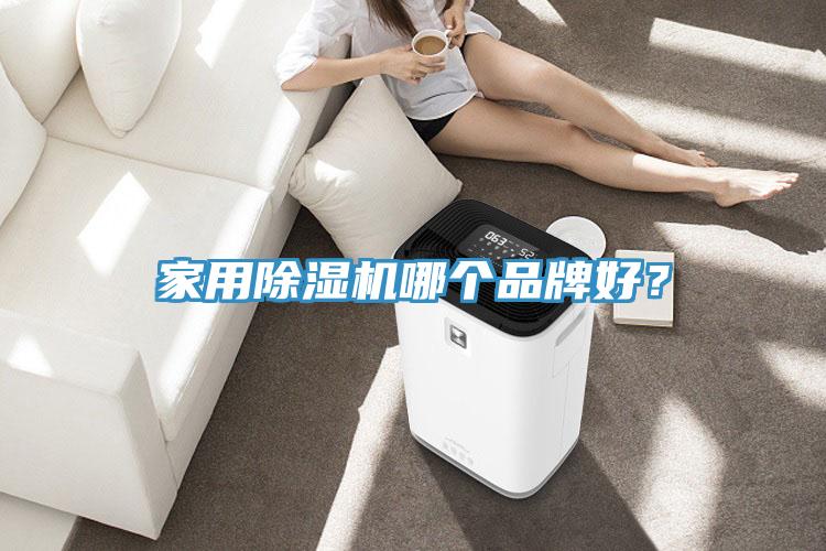 家用除濕機哪個品牌好？