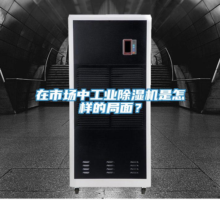 在市場中工業(yè)除濕機(jī)是怎樣的局面？