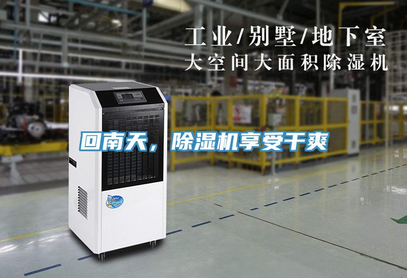 回南天，除濕機享受干爽